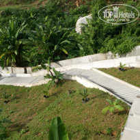 фото из отзыва ID 1095948