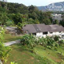 фото из отзыва ID 1095948