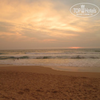 фото из отзыва ID 1095992