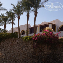 фото из отзыва ID 1096109