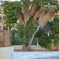 фото из отзыва ID 1096247