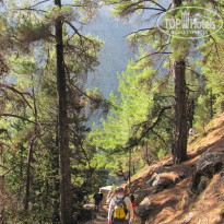 фото из отзыва ID 1096295