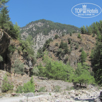 фото из отзыва ID 1096295