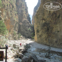 фото из отзыва ID 1096295