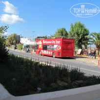 фото из отзыва ID 1096295