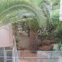 фото из отзыва ID 1096295