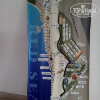 фото из отзыва ID 1096308