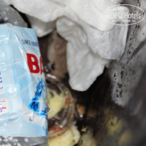 фото из отзыва ID 1095701