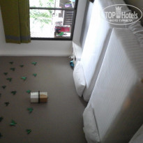 фото из отзыва ID 1096417