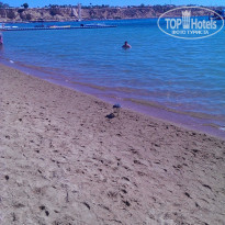 фото из отзыва ID 1096437