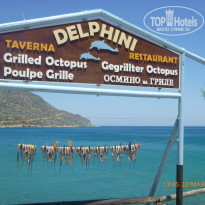 фото из отзыва ID 1096447