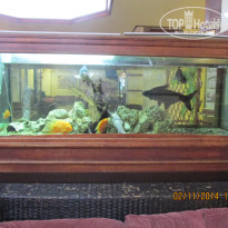 фото из отзыва ID 1096970