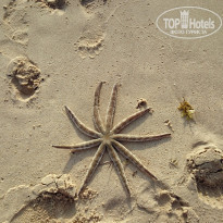 фото из отзыва ID 1096996