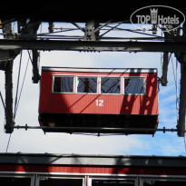 фото из отзыва ID 1096998