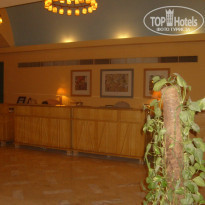 фото из отзыва ID 1097030