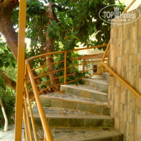 фото из отзыва ID 1097072