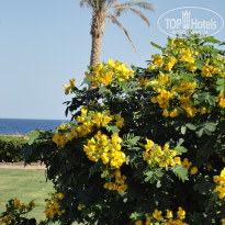 фото из отзыва ID 1097188