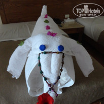 фото из отзыва ID 1097188