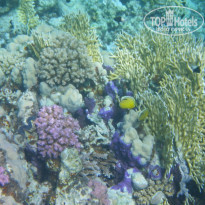 фото из отзыва ID 1097188