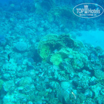 фото из отзыва ID 1097188