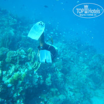 фото из отзыва ID 1097188