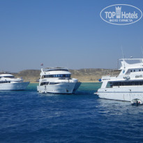 фото из отзыва ID 1097188