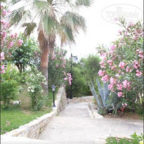 фото из отзыва ID 1097332