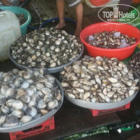 фото из отзыва ID 1097349