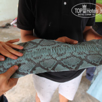 фото из отзыва ID 1097363