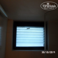 фото из отзыва ID 1097396