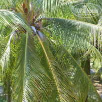 фото из отзыва ID 1097646