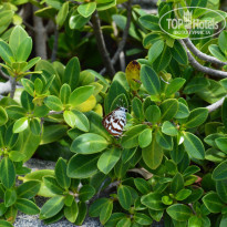 фото из отзыва ID 1097653