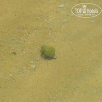 фото из отзыва ID 1097653