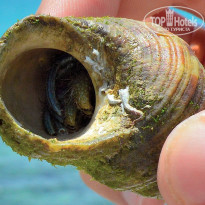 фото из отзыва ID 1097653