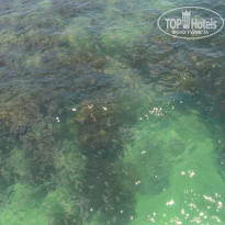 фото из отзыва ID 1097653