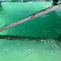 фото из отзыва ID 1097653