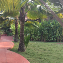 фото из отзыва ID 1097815