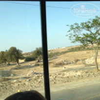 фото из отзыва ID 1097831