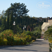 фото из отзыва ID 1097874