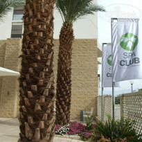 фото из отзыва ID 1097915