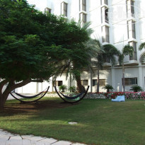 фото из отзыва ID 1097915