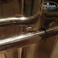 фото из отзыва ID 1098010