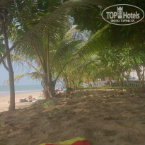 фото из отзыва ID 1098063