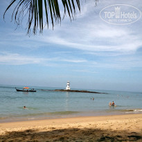 фото из отзыва ID 1098063