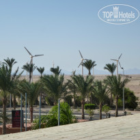 фото из отзыва ID 1094752