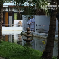 фото из отзыва ID 1098219