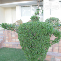 фото из отзыва ID 1098251