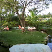 фото из отзыва ID 1098272