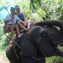 фото из отзыва ID 1098464