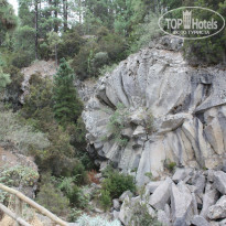 фото из отзыва ID 1098498